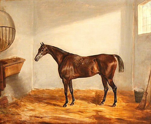 A Dark Brown Horse, 1814, 