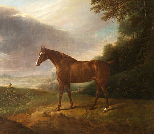 A Horse called 'White Sorrel', in a Landscape, 1784, 