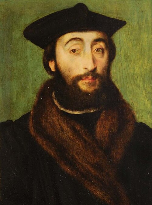 Portrait dit de Georges de Selve, 1540, 