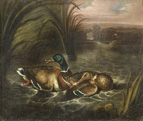 Two Mallards, 1849, 