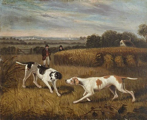 Two Pointers in a Cornfield, with Gunsmen behind, 1849, 