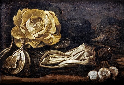 Nature morte au chou, 1700, 