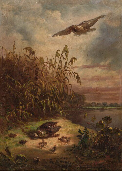A Galinha de Pintos e o Gavião, 1850, 