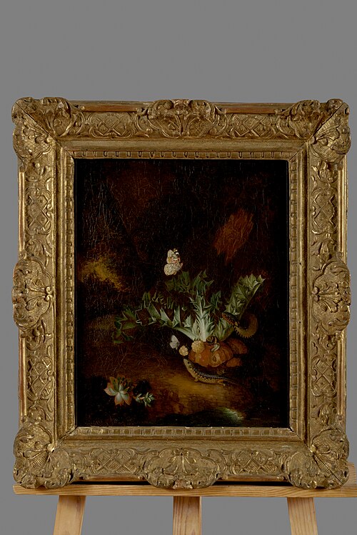 Plantes reptiles et insectes dans un sous bois, 1650, 