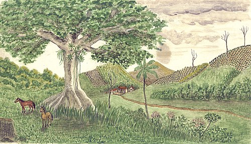 Paisagem, , 