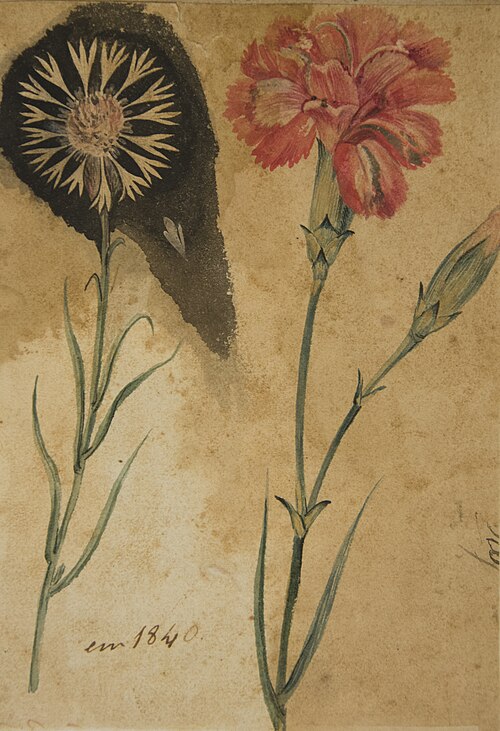 Desenho de Planta - Álbum M A B A D - Prancha N.3, 1900, 