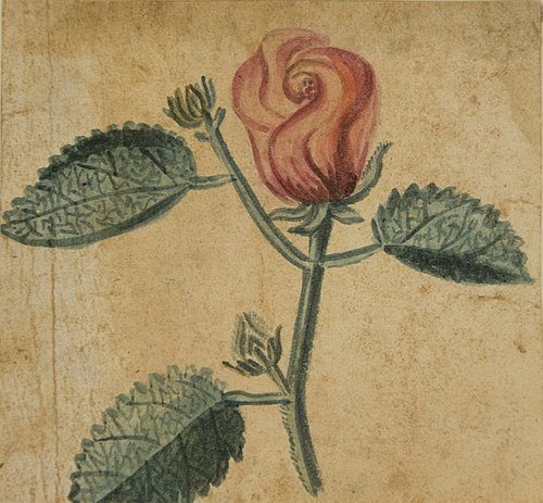 Desenho de Planta - Álbum M A B A D - Prancha N.7, 1900, 