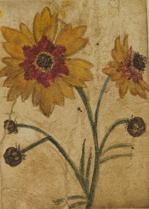 Desenho de Planta - Álbum M A B A D - Prancha N.7, 1900, 