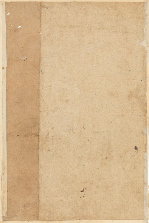Page from Tales of a Parrot (Tuti-nama): blank page, 1560, 