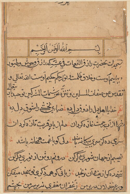Page from Tales of a Parrot (Tuti-nama): text page, 1560, 