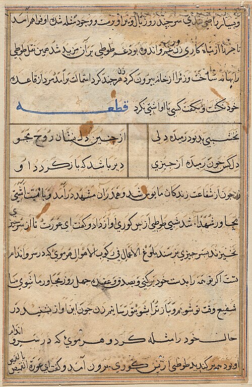Page from Tales of a Parrot (Tuti-nama): text page, 1560, 