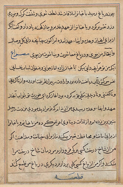 Page from Tales of a Parrot (Tuti-nama): text page, 1560, 