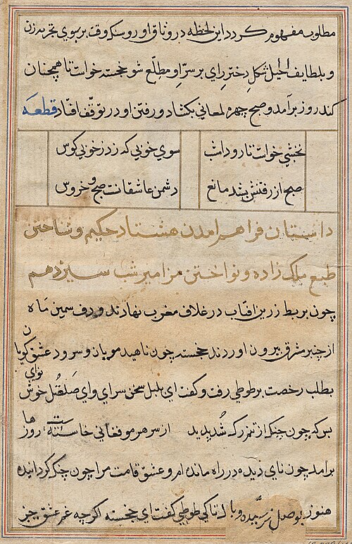 Page from Tales of a Parrot (Tuti-nama): text page, 1560, 