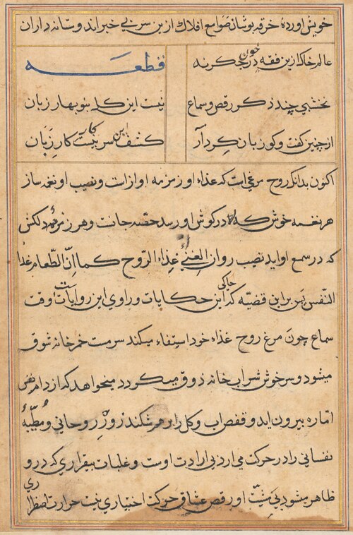 Page from Tales of a Parrot (Tuti-nama): text page, 1560, 
