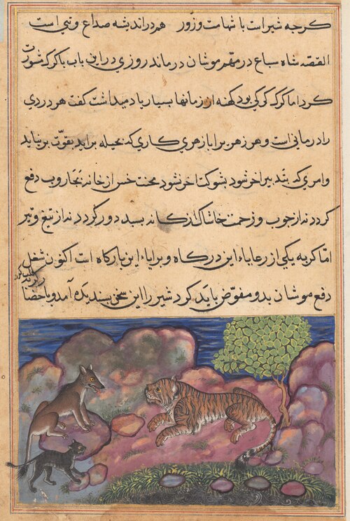 The wolf advises the lion to consult the cat, from a Tuti-nama (Tales of a Parrot): Fifteenth Night, 1560, 
