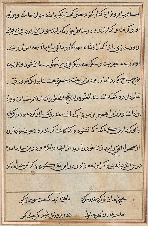 Page from Tales of a Parrot (Tuti-nama): text page, 1560, 