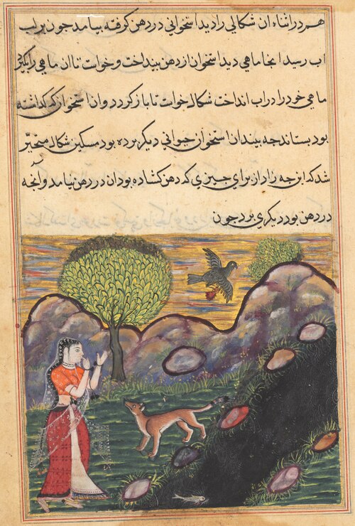 The daughter-in-law of the king of Banaras sees the jackal deprived of its food by a bird, as it uns, 1560, 