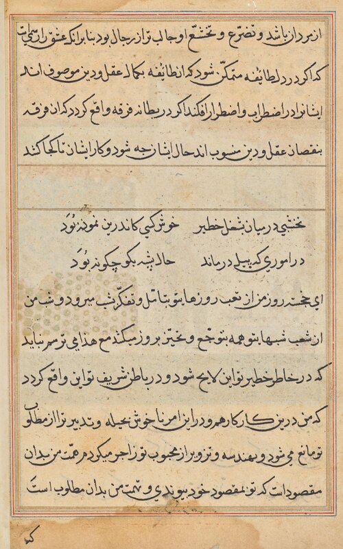 Page from Tales of a Parrot (Tuti-nama): text page, 1560, 