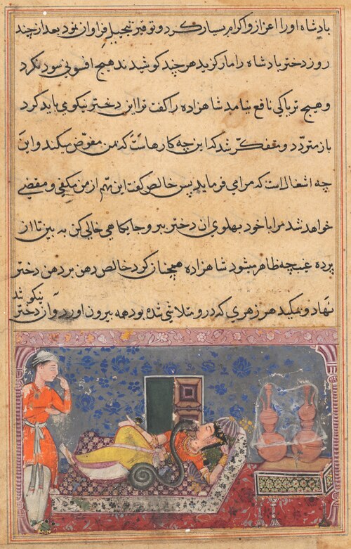 Khalis repays the prince for his kindness by changing into a snake and sucking the poison from the k, 1560, 