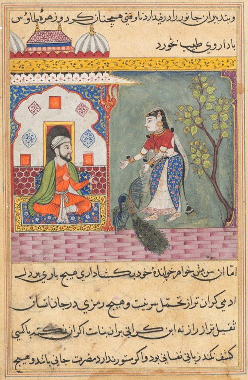 The Brahman’s wife who killed a peacock and ate its gallbladder on the physician’s advice, from a Tu, 1560, 