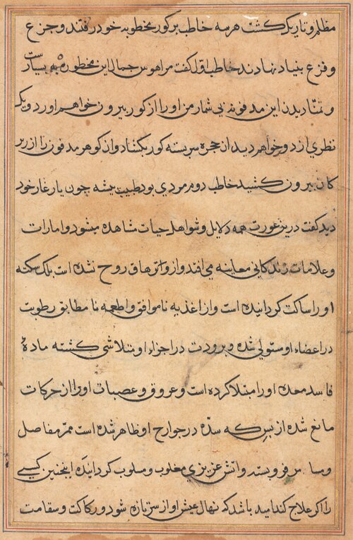 Page from Tales of a Parrot (Tuti-nama): text page, 1560, 