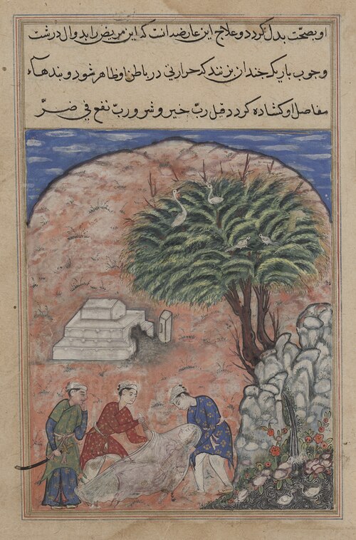 The suitors take the devotee’s daughter out of her tomb after breaking it open, when the physician d, 1560, 