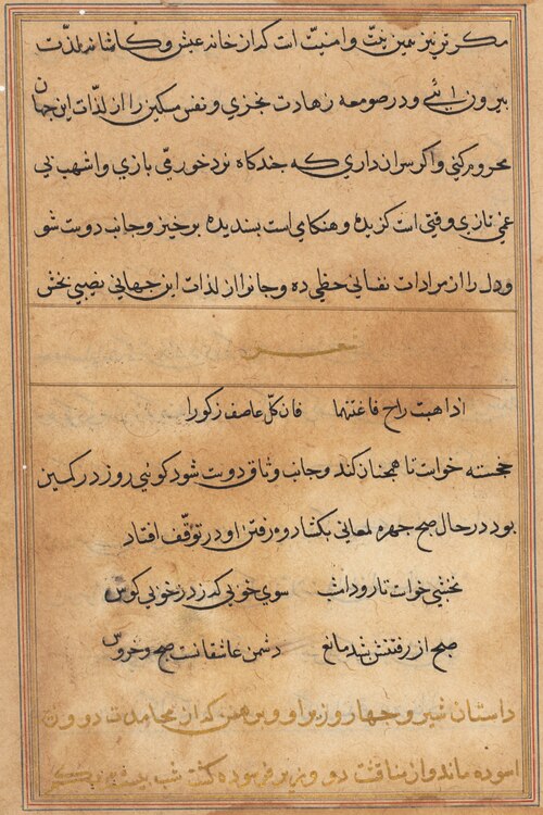 Page from Tales of a Parrot (Tuti-nama): text page, 1560, 
