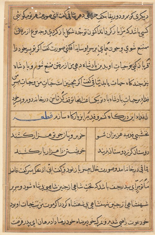 Page from Tales of a Parrot (Tuti-nama): text page, 1560, 