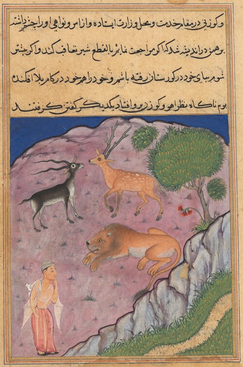 The Brahman comes upon a lion who has a deer and a gazelle as his viziers, from a Tuti-nama (Tales o, 1560, 