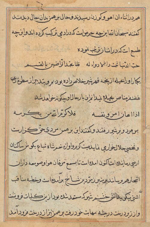 Page from Tales of a Parrot (Tuti-nama): text page, 1560, 