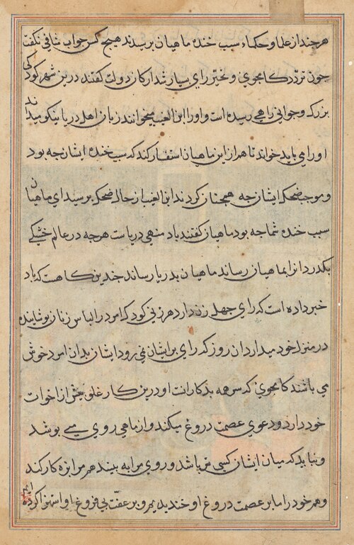 Page from Tales of a Parrot (Tuti-nama): text page, 1560, 