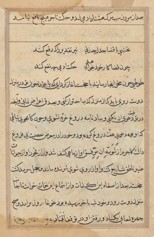 Page from Tales of a Parrot (Tuti-nama): text page, 1560, 