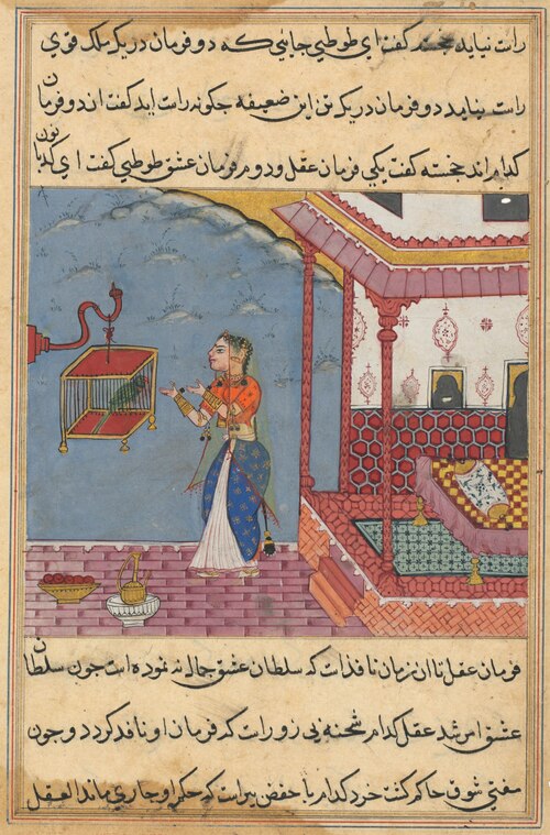 The Parrot Addresses Khujasta at the Beginning of the Twenty-Fourth Night, from a Tuti-nama (Tales o, 1560, 