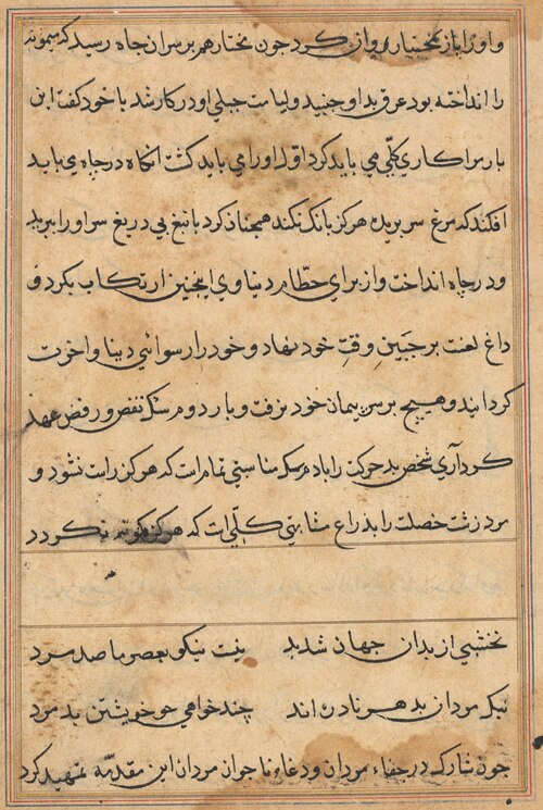 Page from Tales of a Parrot (Tuti-nama): text page, 1560, 