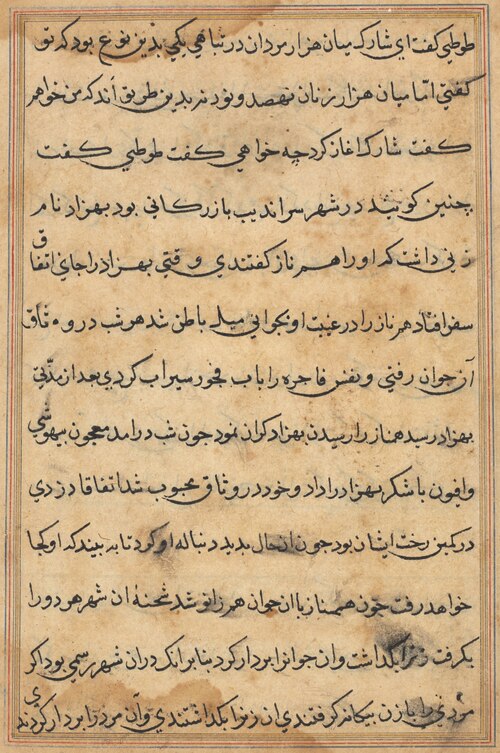 Page from Tales of a Parrot (Tuti-nama): text page, 1560, 