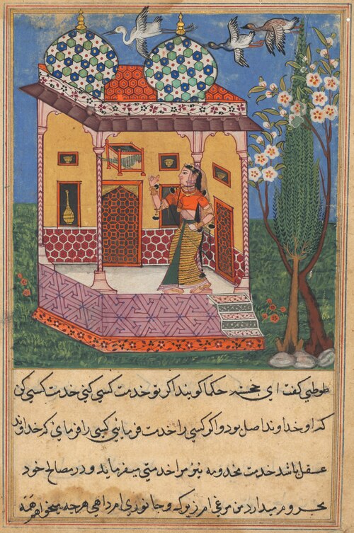 The Parrot Addresses Khujasta at the Beginning of the Twenty-sixth Night, from a Tuti-nama (Tales of, 1560, 