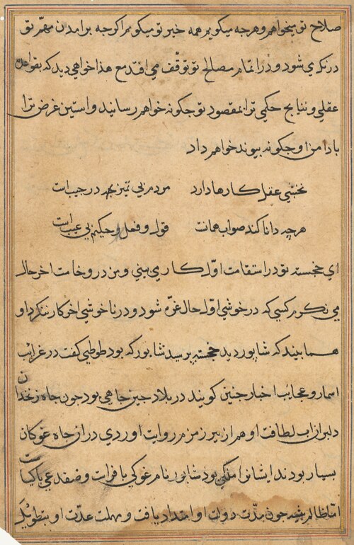 Page from Tales of a Parrot (Tuti-nama): text page, 1560, 