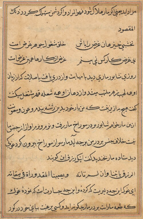 Page from Tales of a Parrot (Tuti-nama): text page, 1560, 