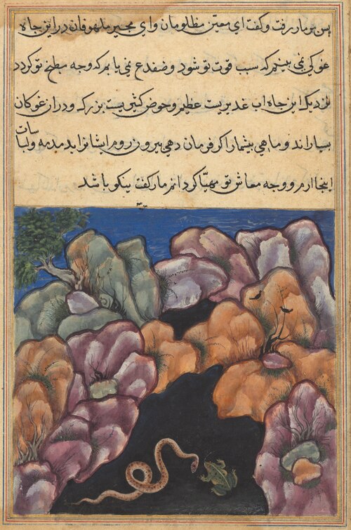 The snake enters into an argument with the frog, from a Tuti-nama (Tales of a Parrot): Twenty-sixth , 1560, 