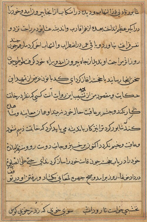 Page from Tales of a Parrot (Tuti-nama): text page, 1560, 