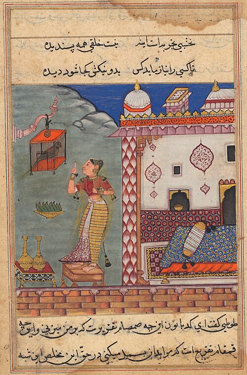 The Parrot Addresses Khujasta at the Beginning of the Twenty-seventh Night, form a Tuti-nama (Tales , 1560, 