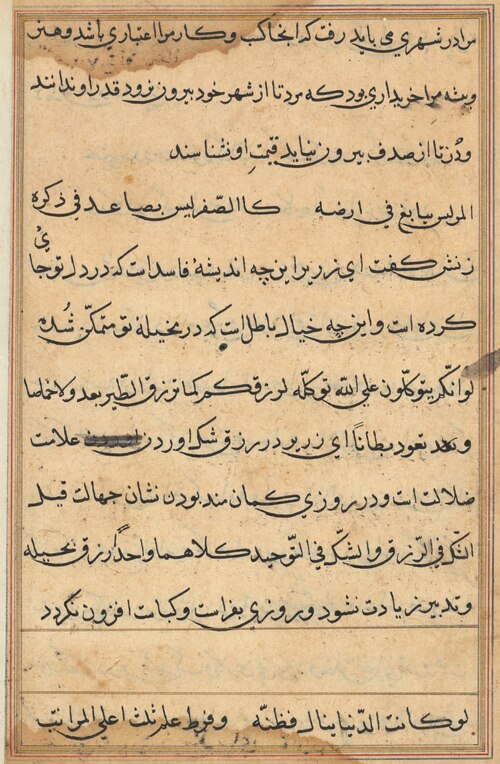 Page from Tales of a Parrot (Tuti-nama): text page, 1560, 