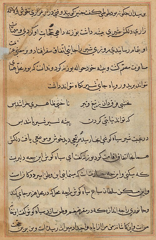Tuti-Nama (Tales of a Parrot), 1560, 