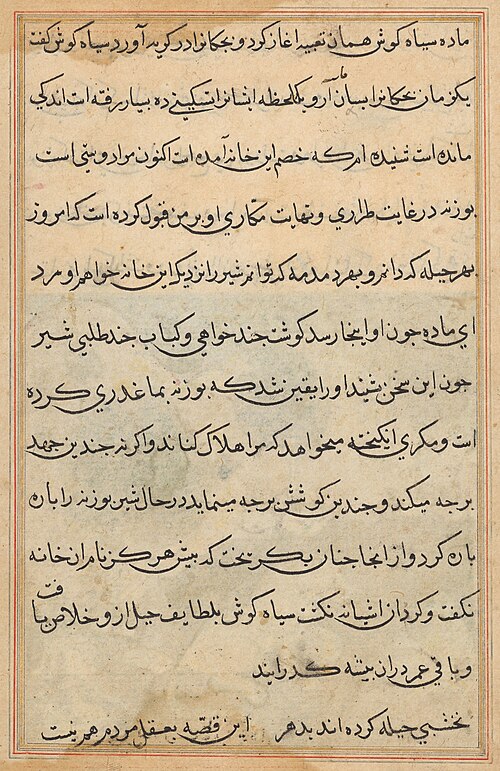 Tuti-Nama (Tales of a Parrot), 1560, 
