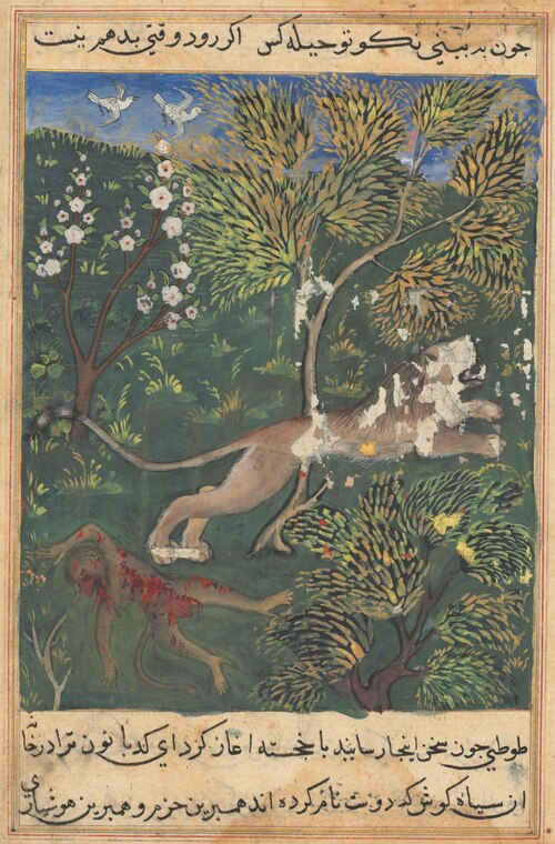 The lion, suspecting treachery on the part of the monkey, slays him and flees, from a Tuti-nama (Tal, 1560, 