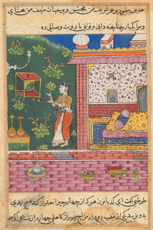 The Parrot Addresses Khujasta at the Beginning of the Thirtieth Night, from a Tuti-nama (Tales of a , 1560, 