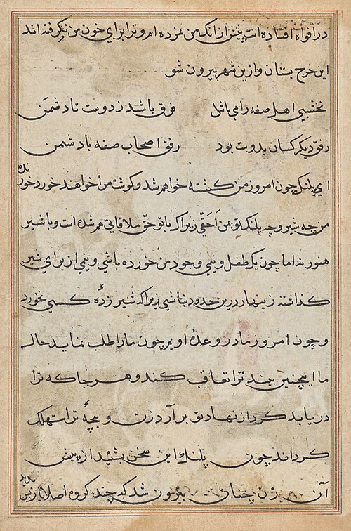 Page from Tales of a Parrot (Tuti-nama): text page, 1560, 