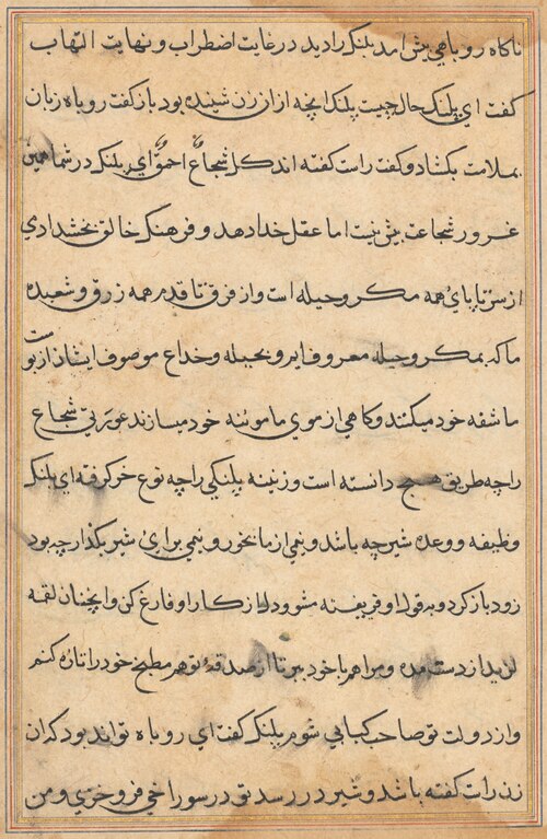 Page from Tales of a Parrot (Tuti-nama): text page, 1560, 