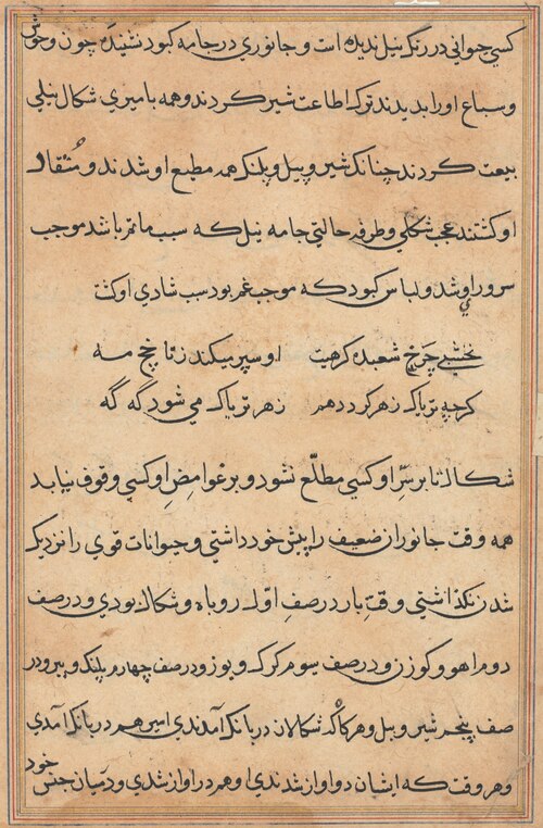 Page from Tales of a Parrot (Tuti-nama): text page, 1560, 