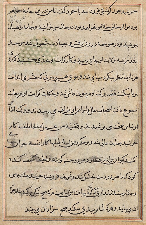 Page from Tales of a Parrot (Tuti-nama): text page, 1560, 